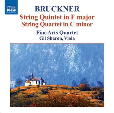 Anton Bruckner (1824-1896): Streichquintett F-dur - Naxos - (CD / Titel: H-Z)