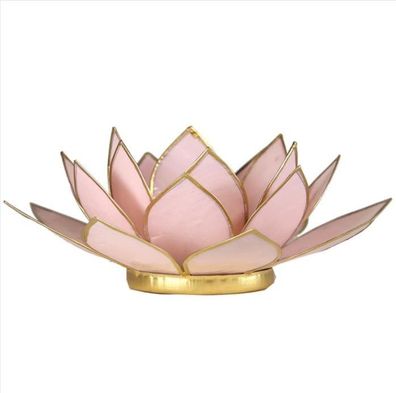 Lotus Teelichthalter rosa goldfarbig 13.5 cm