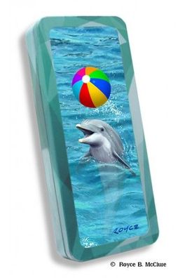 3D Stiftebox Beach Ball - Delphin