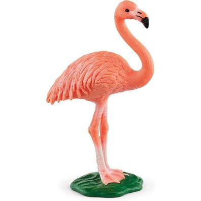 Sperling - Flamingo