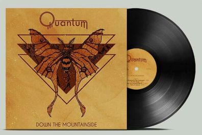 Quantum: Down The Mountainside (180g)