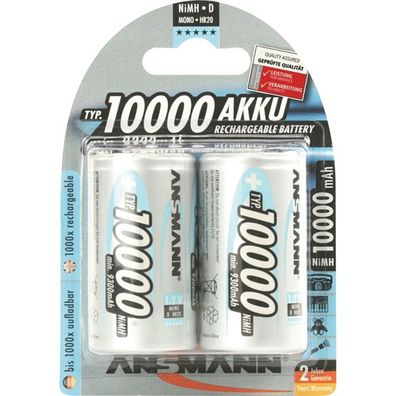 Ansmann 10000mAh NiMh Professional (silber)