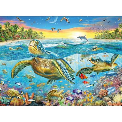 Meeresschildkröten, 100Stk. XXL