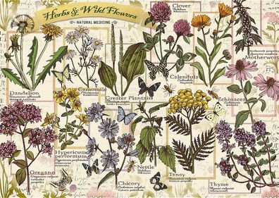 Herbarium: Heilkräuter
