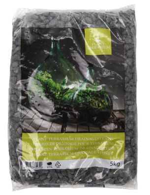 5 Kg Graue Drainage Steine für optimale Wasserableitung in ihrem Pflanzterrarium