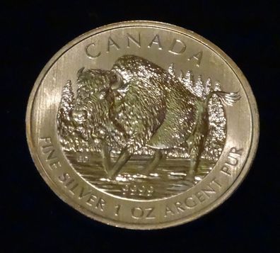 2013 Bison Wildlife Kanada 1oz Silber Münze 99,9%