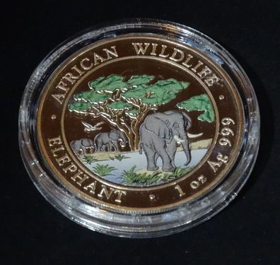 2012 African Wildliefe Elefant Farb Applikation 1oz Silber Münze 99,9%