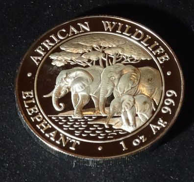 2013 African Wildlife Elefant 1oz Silber Münze 99,9%