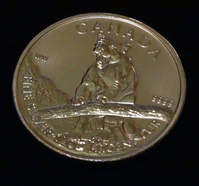 2012 Puma Wildlife Kanada 1oz Silber Münze 99,9%