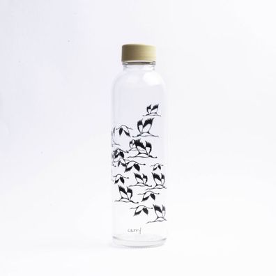 yogabox Glastrinkflasche CARRY 0.7 l FLY AWAY