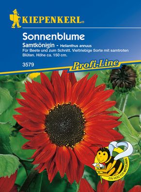 Kiepenkerl® Sonnenblumen Samtkönigin - Blumensamen