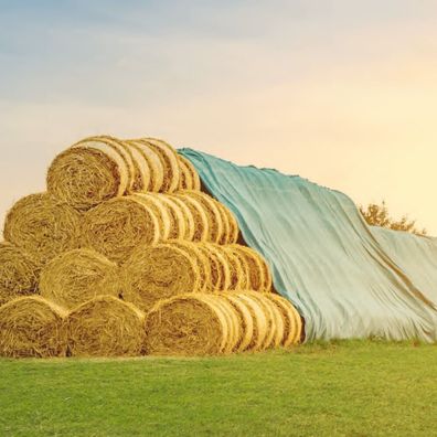 ProTex Schutzvlies 10,4 x 12,5 m Stroh-, Heuballen- und Getreide wasserabweisend