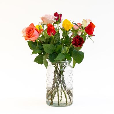 Letterbox Roses Mixed Colors - 35cm - Blumen