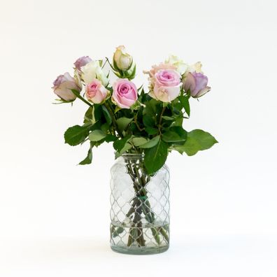 Letterbox Roses Sweet Pink - 35cm - Blumen