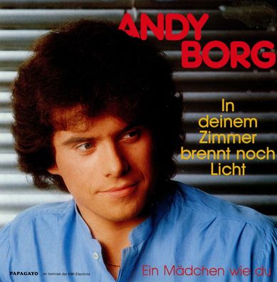 7" Cover Andy Borg - In Deinem Zimmer brennt noch Licht