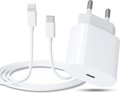 iPhone Schnellladegerät 20W + 1m USB C zu Lightning Ladekabel