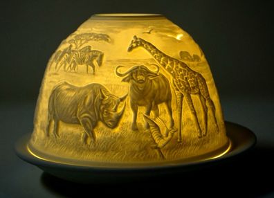Dome Light Safari mit verschiedenen Tierdarstellungen