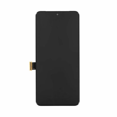 Google Display + Touch Pixel 8 G949-00555-01