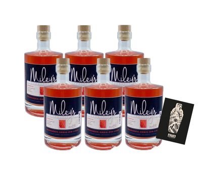 Mileys 6er Set Rhababer-Honig-Gin-Likör 6x 0,5l (20% Vol.)- [Enthält Sulfite]