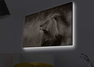 Wallity Leinwandbilder LED4430