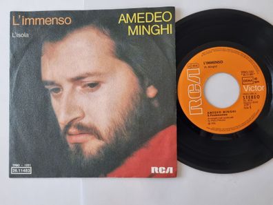 Amedeo Minghi - L'immenso 7'' Vinyl Germany