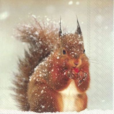 Lunchservietten "Winter squirrel"