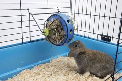 Nobby Bunny Toy 16 cm Nagetiere Kaninchen Heuraufe Besch?ftigung
