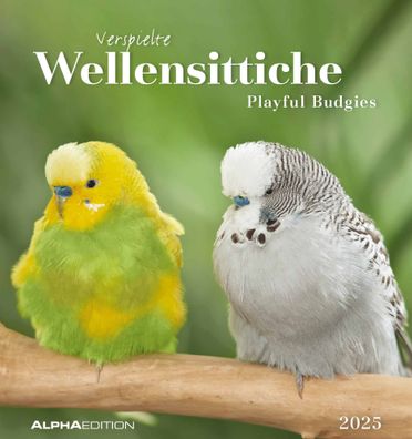 Kalender 2025 -Wellensittiche 2025- 16 x 17cm