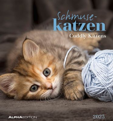 Kalender 2025 -Schmusekatzen 2025- 16 x 17cm