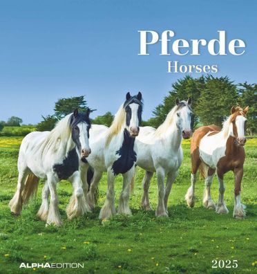 Kalender 2025 -Pferde 2025- 16 x 17cm