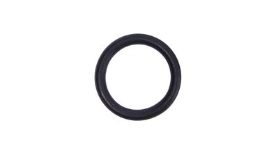 O-Ring Ø-Außen: 20 mm, Ø-Innen: 15,2 mm, für Hauptständerbolzen