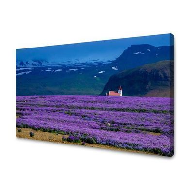 CANVAS Leinwandbilder XXL Wandbilder Kunstdruck Lavendelfeld Größe 40x30-120x80