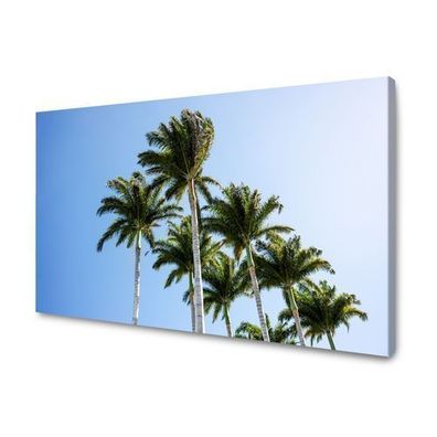 CANVAS Leinwandbilder XXL Wandbilder Kunstdruck Palmen Tropische Naturschönheit