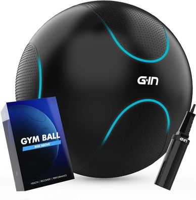 G-IN Gymnastikball Sitzball [Anti-Burst] für Büro Fitness Yoga Balance - INKL. L