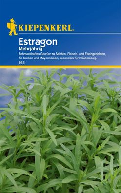 Estragon (mehrjährig), schmackhaftes Gewürz, besonders für Kräuteressig,