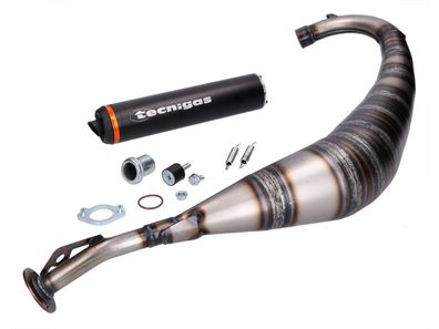 Auspuff Tecnigas E-Box für Aprilia RS50 2010-, Derbi GPR 50 2009-