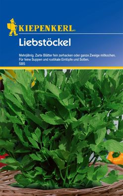 Liebstöckel (mehrjährig), Inhalt für ca. 50 Pflanzen, intensiv-aromatisch, ...