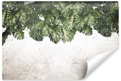 Muralo Vlies Selbstklebende Fototapete Monstera-blätter Pflanzen Natur Beton Wanddeko