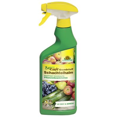 Neudorff® BioKraft® Grundstoff Schachtelhalm für Obst & Gemüse - 500 ml