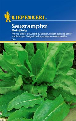 Sauerampfer (mehrjährig), frische Blätter als zusatz für Salate, Inhalt für...