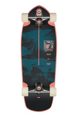 GLOBE Cruizer Board Thumpy storm cats 30