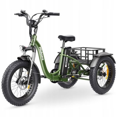 Elektrofahrrad E-Bike Dreirad Tricycle 48V 20Ah 85N.M 20 * 4.0 Zoll Elektrofahrräder