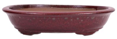 Bonsai - Schale oval 51 x 42.5 x 11 cm bordeaux frostfest 40443