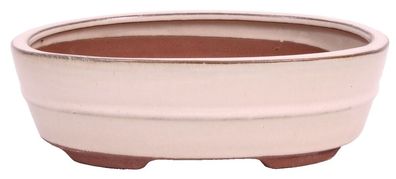 Bonsai - Schale oval 22 x 16.5 x 6.5 cm creme 22119