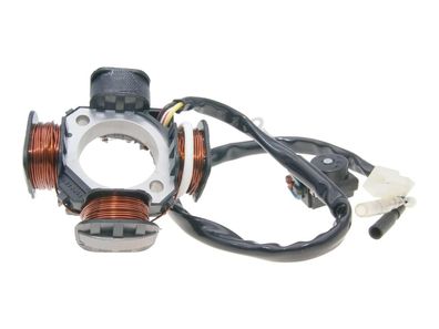 Lichtmaschine Stator für Pegasus Sky, Corona Sport, R50X, TGB 101, 203, 303 Bullet...
