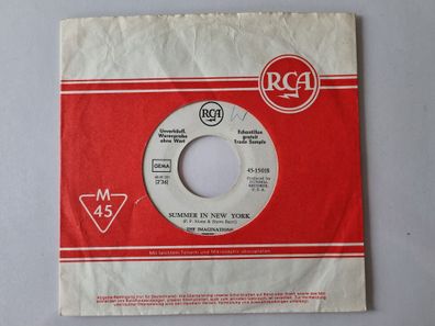 The Imaginations - Summer in New York 7'' Vinyl Germany PROMO