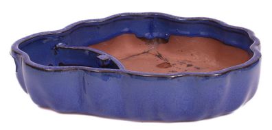 Bonsai - Schale, Wasserschale, oval 24.5 x 19 x 5.5 cm blau 51365