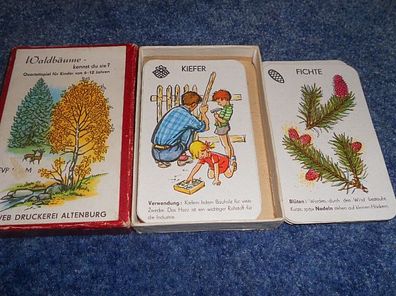 Kartenspiel/ Quartettspiel- Waldbäume-kennst du Sie?