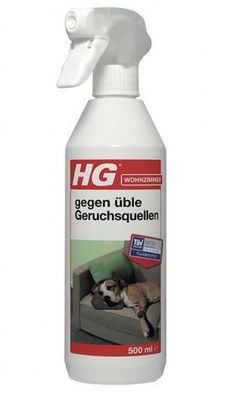 HG Hygienisches Toilettenraumspray 500 ml – Schnell Trocknendes, Frisch Duftendes Toi