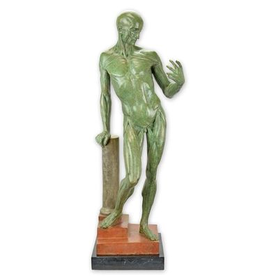 Bronzen Anatomische STUDIE VAN EEN GEVILD Mannetje